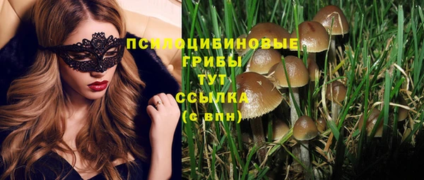 каннабис Алексеевка