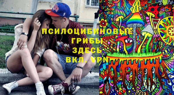 твердый Алзамай